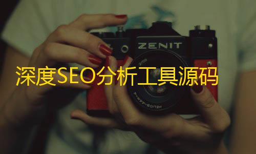 三角洲行动透视模式深度SEO分析工具源码Turbo Website Reviewer